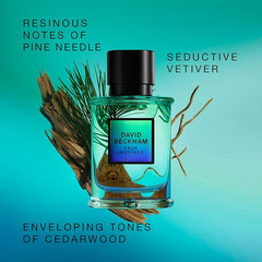 DAVID BECKHAM True Instinct - Eau de Parfum for Men - Woody & Ambery Fragrance with Notes of Pine Needle, Cedarwood and Vetiver - Long Lasting - 75ml