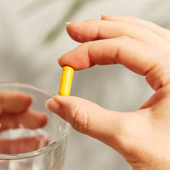 Solgar-Turmeric Root Extract Vegetable Capsules - Pack of 60