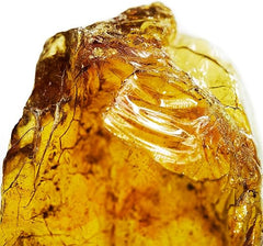 DAVIDOFF Cool Water Man Deodorant Stick, Aromatic Fresh Men's Fragrance, 75 ml (Pack of 1)