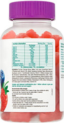 Chewy Vites Multi-Vit & Probio Gummy