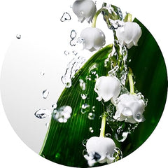 DAVIDOFF Cool Water Woman - Eau de Toilette for Her - Floral Fragrance with Notes of Melon, Lily of the Valley and Musk - Medium Longevity