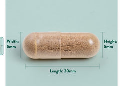 Holland & Barrett-Maximum Strength Ginkgo Biloba 120mg 100 Capsules