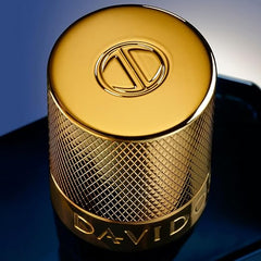 DAVIDOFF Cool Elixir - Parfum Intense for Him - Woody Fragrance with Notes of Rose Oxide, Lavandin and Oud Accord - High Longevity