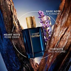 DAVIDOFF Cool Elixir - Parfum Intense for Him - Woody Fragrance with Notes of Rose Oxide, Lavandin and Oud Accord - High Longevity