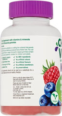 Chewy Vites Multivitamin Advance 60 Gummy