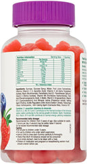 Chewy Vites Multivitamin Advance 60 Gummy