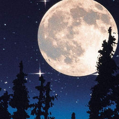 Yankee Candle Wax Melts | Midsummer’s Night | Up to 8 Hours of Fragrance | 1 Count