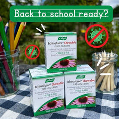 A.Vogel Echinaforce Chewable Cold & Flu Tablets | Relieve Cold & Flu Symptoms | Extracts of Fresh Echinacea | 80 Tablets