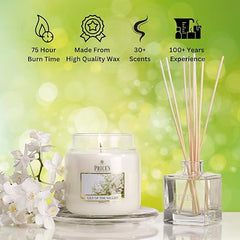 Price's - Cinnamon Medium Jar Candle - Sweet, Delicious, Quality Fragrance - Long Lasting Scent - Up to 90 Hour Burn Time [Energy Class A]
