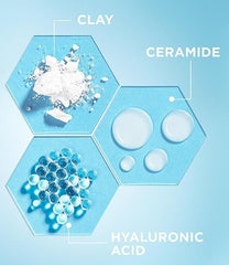 Garnier Gentle Deep Face Cleanser, With Hydrating Hyaluronic Acid, Protecting Ceramides, Purifying Clay, Fragrance Free, Suitable For Sensitive Skin, Pure Active, 250ml (Pack of 5)