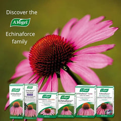 A.Vogel Echinaforce Sore Throat Relief Spray | Use at First Signs of a Cold | Fresh Echinacea & Sage | 136 Sprays