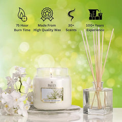 Price's - Melon Medium Jar Candle - Sweet, Delicious, Quality Fragrance - Long Lasting Scent - Up to 90 Hour Burn Time