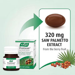 A.Vogel Prostasan Saw Palmetto Capsules for Men with Enlarged Prostate Symptoms | Frequent Urination & Weak Flow Relief | 1-a-Day | 30 Capsules