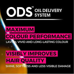 Olia Permanent Hair Dye, Up to 100% Grey Hair Coverage, No Ammonia, 60% Oils, Bold 4.26 Rose Violet