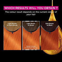 Garnier Olia Permanent Hair Dye, No Ammonia, Full Grey Coverage, Long-lasting Colour & Shine, Vegan Formula, Colour: 7.40 Intense Copper, 230g