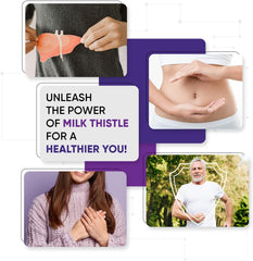 WeightWorld Milk Thistle Capsules - 180 Vegan Capsules - 3 Months Supply - High Strength Milk Thistle (Providing: 80% Silymarin) - Odour & Aftertaste Free Unlike Milk Thistle Tablets - Made in The UK