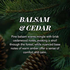 Yankee Candle Scented Candle | Balsam & Cedar Large Jar | Long Burning Candles: up to 150 Hours | Perfect Christmas Gifts for Women