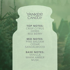 Yankee Candle Scented Candle | Balsam & Cedar Large Jar | Long Burning Candles: up to 150 Hours | Perfect Christmas Gifts for Women