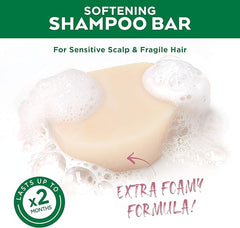Garnier Ultimate Blends Delicate Oat Softening Shampoo Bar for Sensitive Scalp and Fragile Hair, Clear, 60 g (Pack of 2)