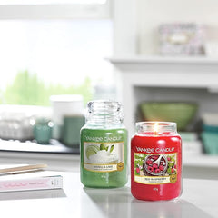 Yankee Candle Scented Candle | Red Raspberry Large Jar | Long Burning Candles: up to 150 Hours | Perfect Gifts for Women