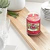 Yankee Candle Scented Candle | Red Raspberry Large Jar | Long Burning Candles: up to 150 Hours | Perfect Gifts for Women