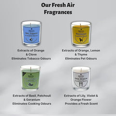 Price's - Anti-Tobacco Tin Candles - Odour Eliminating - Made with Orange and Clove Extracts - Clean, Fresh, Quality Fragrance - Long Lasting Scent [Energy Class A]