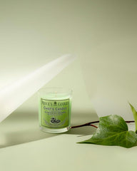 Price's - Chef's Jar Candle - Odour Eliminating Candle - Made with Basil, Patchouli & Geranium Extracts - Clean, Fresh, Quality Fragrance - Long Lasting Scent (Pack of 2)