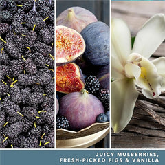 Yankee Candle Scented Candle | Mulberry & Fig Delight Large Jar | Long Burning Candles: up to 150 Hours | Perfect Gifts for Women