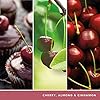 Yankee Candle Scented Candles Gift Set | Black Cherry Filled Votive Candles | Soy Blend Wax Mix | 3 Count, One Size, 1701393E