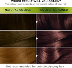 Garnier Nutrisse Ultra Color, Permanent Hair Dye, Intense Colour, For All Hair Types, 5.25 Frosted Chestnut, Brown
