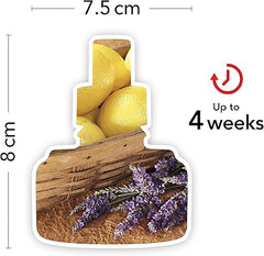 Yankee Candle ScentPlug Fragrance Refills | Lemon Lavender Plug in Air Freshener Oil | Up to 60 Days of Fragrance | 2 Count