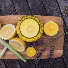 Price's Candles Citronella Scented Tealights | Protects from Unwanted Flies & Insects | Pack of 50 [Energy Class A]