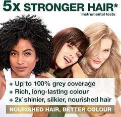 Garnier Nutrisse Permanent Hair Dye, Natural-looking, hair colour result, For All Hair Types, 6.3 Golden Light Brown