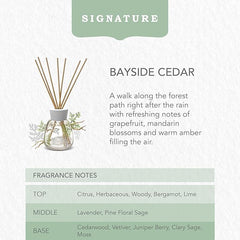 Yankee Candle Signature Reed Diffuser | Bayside Cedar | 100ml | up to 10 Weeks of Fragrance for Women