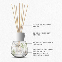 Yankee Candle Signature Reed Diffuser | Bayside Cedar | 100ml | up to 10 Weeks of Fragrance for Women