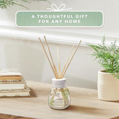 Yankee Candle Signature Reed Diffuser | Bayside Cedar | 100ml | up to 10 Weeks of Fragrance for Women