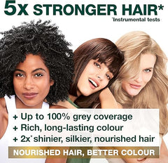 Garnier Nutrisse Creme Blonde Hair Dye Permanent, Up to 100 percent Grey Hair Coverage, 90 percent Natural origin formula, No Ammonia with 5 Oils, 6.03 Natural Golden Dark Blonde, 75 ml