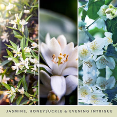 Yankee Candle Scented Candle | Midnight Jasmine Large Jar | Long Burning Candles: up to 150 Hours | Perfect Gifts for Women