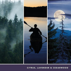 Yankee Candle Studio Scented Candle,Midsummer's Night Medium Candle,Long Burning Candles:35-50 Hours,Stylish Glass Vessel Design with Black Wax,Perfect Gifts for WomenGifts for MumWedding Gifts & More